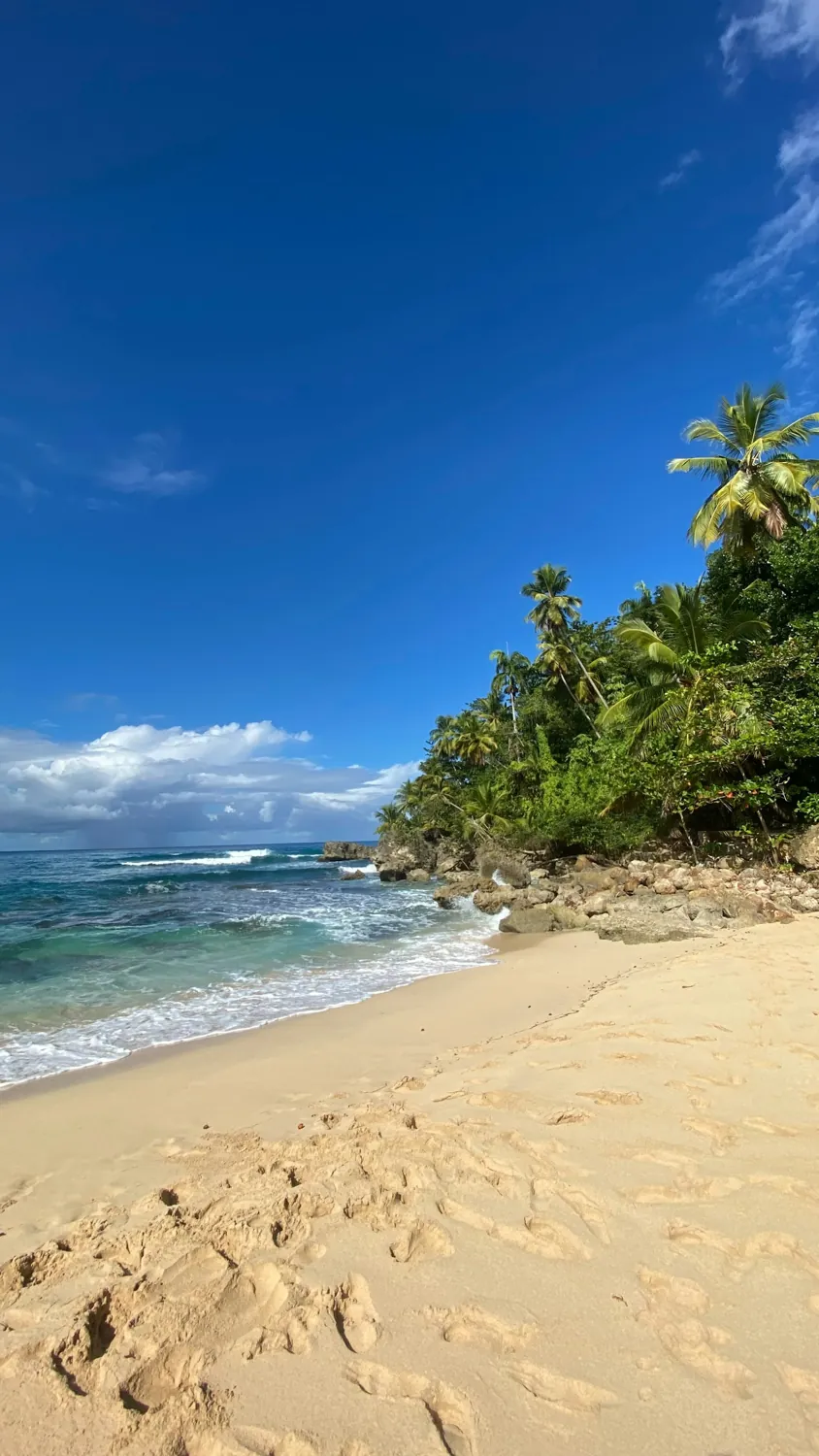 A costa de Punta Cana